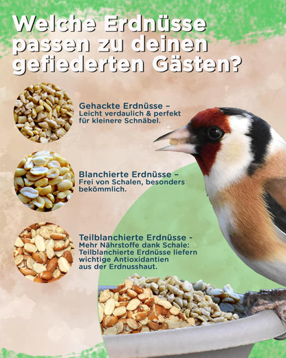 Futterbauer Erdnüsse gehackt Vogelfutter – 25 kg weiss blanchiert