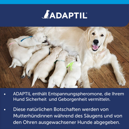 ADAPTIL Calm Vorteilspack Hunde – 3x 48ml Nachfüllflakon