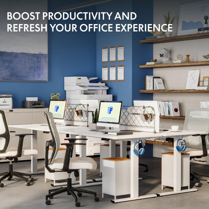 FlexiSpot Höhenverstellbarer Ergonomischer Schreibtisch Basic – 120x60cm Weiss