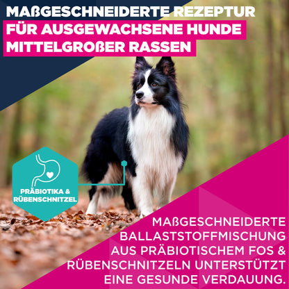 Eukanuba Trockenfutter mit frischem Huhn, mittelgrosse Rassen, 15 kg