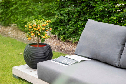 Capi Europe Gefäss Kugel Rib NL Blumentopf 62x48 Anthrazit