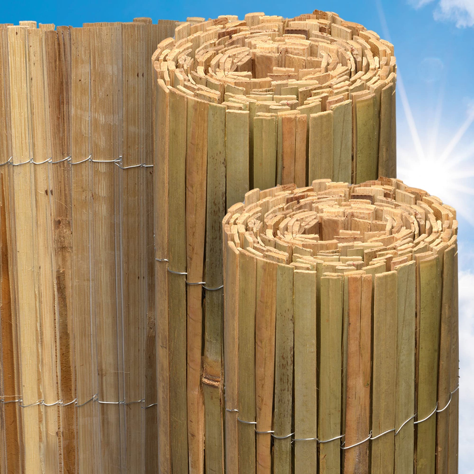 Sol Royal SolVision B89 Bambus Sichtschutz 80x600 cm für Garten