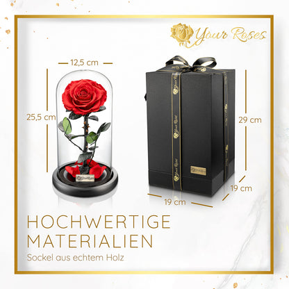 YourRoses® Echte Premium Rose im Glas mit Geschenkbox
