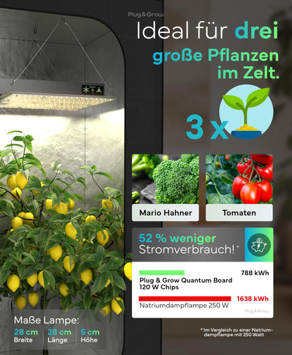 Plug & Grow LED Pflanzenlampe Vollspektrum mit Timer - 120W