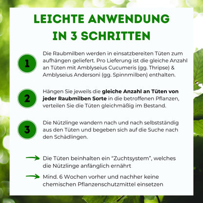 Futeco® Raubmilben MIX Nützlinge – Spinnmilben & Thripse, 60 Tüten