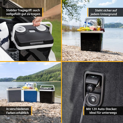 TZS First Austria Thermoelektrische Kühlbox 32L 12V/230V Schwarz