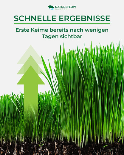 Premium Rasensamen schnellkeimend 10kg/400qm Herbst – TEST SEHR GUT