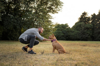 Canina Canhydrox Gag Tabletten für Hunde Gelenke - 360 Stück