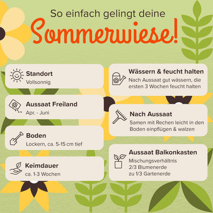 Bienenmagnet Wildblumensamen 500g – nektarreiche Samenmischung