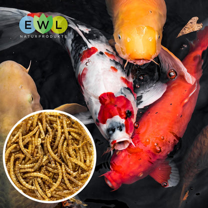 EWL Naturprodukte Mehlwürmer getrocknet Insektensnack 5kg