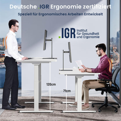 ALLDREI Höhenverstellbares Schreibtischgestell elektrisch - Schwarz