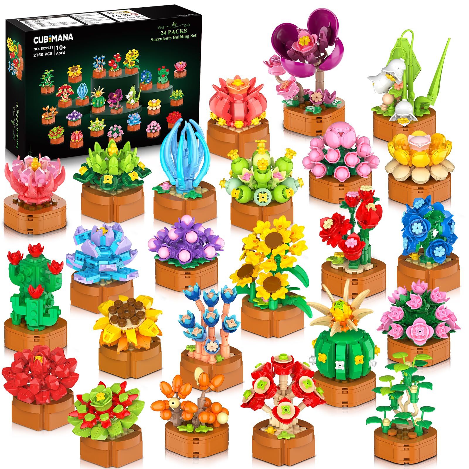 CUBIMANA Blumen Sukkulenten Klemmbausteine, 24 Bausätze, 2160 Teile – farbenfrohe Mini-Blumen in Terrakotta-Töpfen