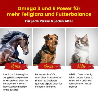 Scheidler horse-direkt Leinöl für Pferde, Hunde & Katzen 2x 5 Liter