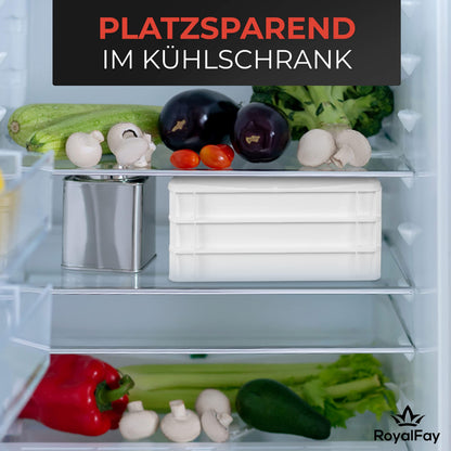 RoyalFay Pizzaballenbox 3er Set Gärbox 30x40x8 cm mit Deckel, weiss