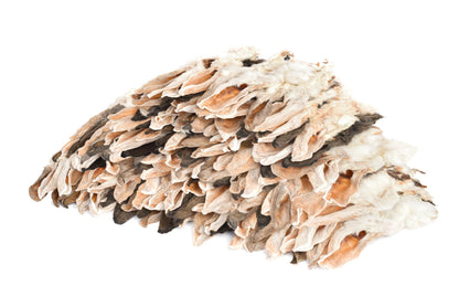 Kaureks Natur Hundeleckerlies Kaninchenohren mit Fell 2 kg