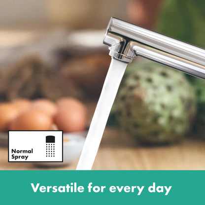 hansgrohe Zesis M33 Niederdruck Küchenarmatur Chrom