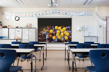 celexon Professional Plus Motor-Leinwand 130" 16:10