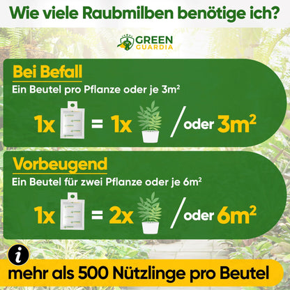 GREEN GUARDIA Power Raubmilben Mix gegen Thripse & Spinnmilben – 50 Mix