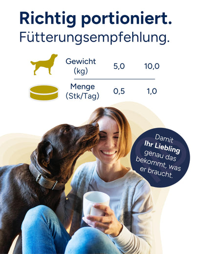 NutriLabs Acid Protect Kautabletten für Hunde, 100 Stück