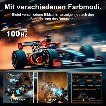 Minifire Curved Monitor 27 Zoll 100Hz PC Bildschirm - Schwarz