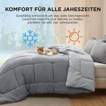 BEDSURE Bettdecke 135x200 cm, Ganzjahresdecke 300 GSM, Grau/Hellgrau