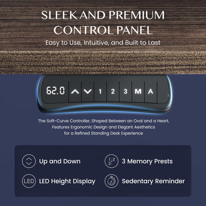 FLEXISPOT PRO Elektrischer Schreibtisch Höhenverstellbar - Schwarz