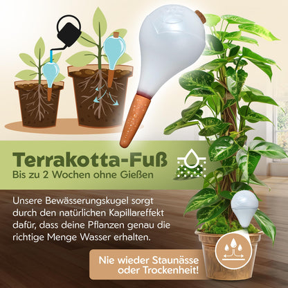 VITALLEO Bewässerungskugeln XL 400 ml, Selbstbewässerung, 6er-Set
