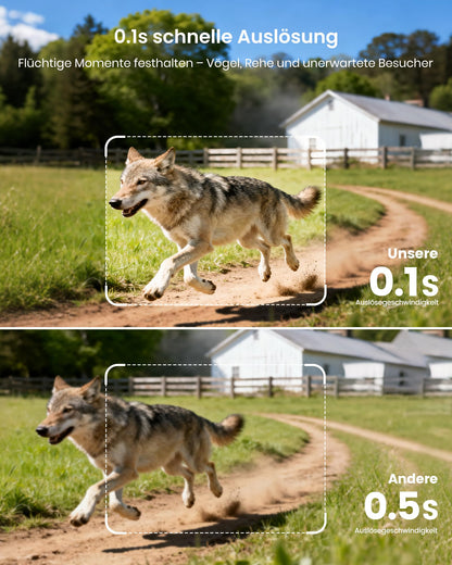 Misstech Wildkamera 4K 64MP mit Solarpanel und App, SV-TCKW