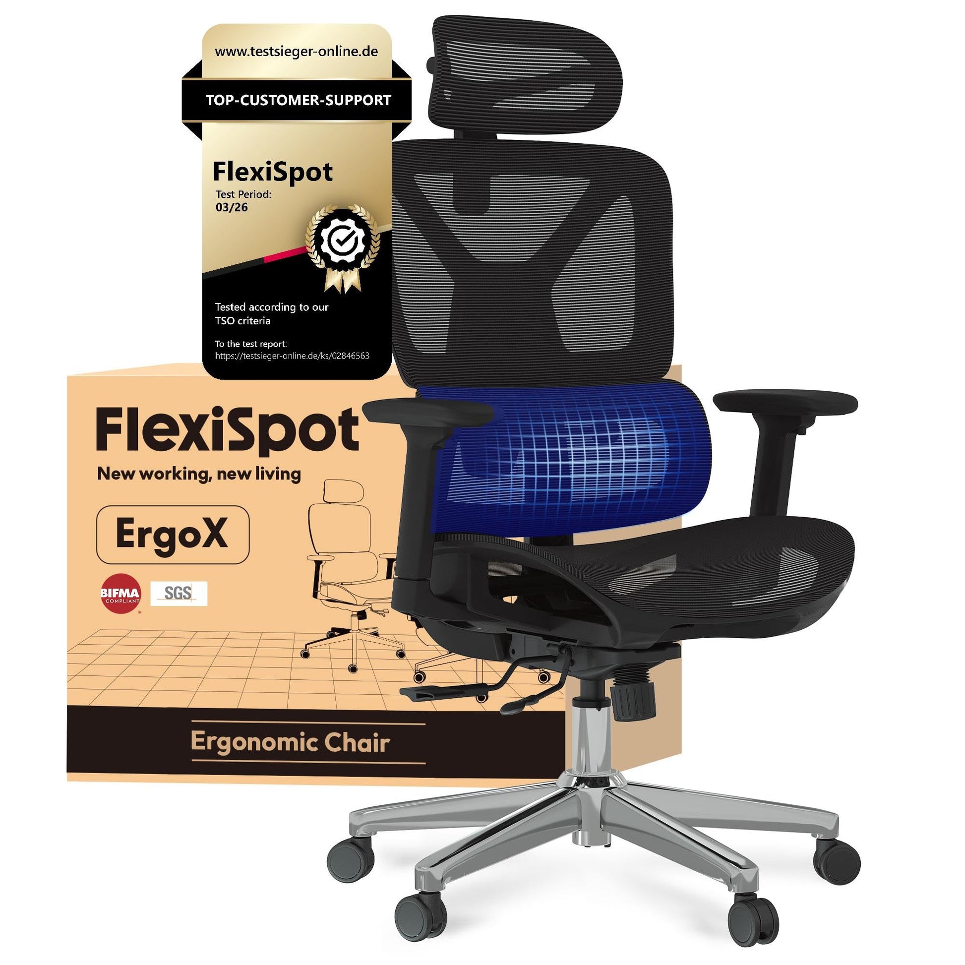 FLEXISPOT ErgoX ergonomischer Bürostuhl mit 3D-Armlehnen, schwarz