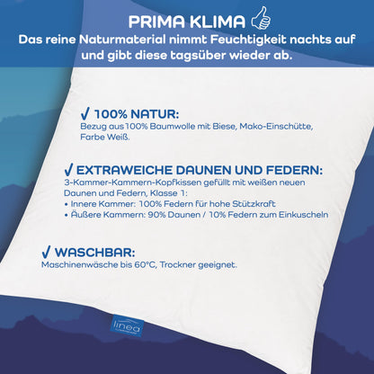 LINEA by böhmerwald cosy 3-Kammer-Kopfkissen weich 80x80