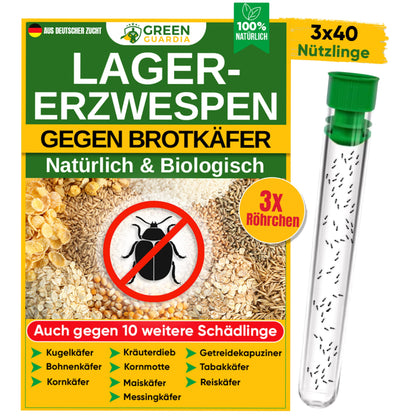GREEN GUARDIA Lagererzwespen gegen Brotkäfer - 3 Röhrchen. Winzige, schwarze Wespen parasitieren Brotkäferlarven.