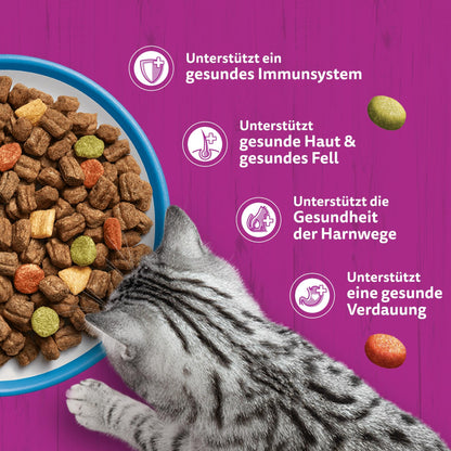 WHISKAS Trockenfutter Adult 1+ mit Thunfisch für Katzen, 3 x 3,8 kg