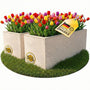 Ondis24 Pflanzkübel Vulkano 2er-Set, 50 L, Wasserspeicher, Leinen – rechteckiger Blumenkübel in Gesteinsoptik