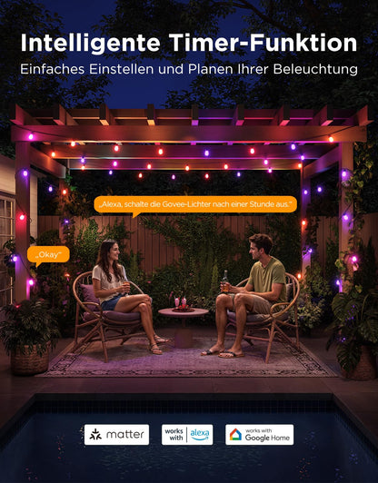 Govee RGBICW LED Lichterkette Aussen 30M - App & Sprachsteuerung