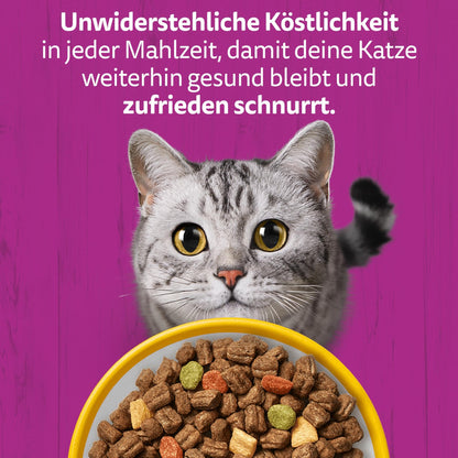 WHISKAS Senior Katzentrockenfutter mit Huhn, 4 x 1,9 kg