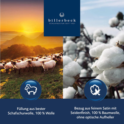Billerbeck Meisterklasse Bettdecke Winter Schurwolle 135x200 cm