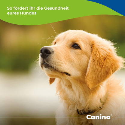 Canina Canhydrox Gag Tabletten für Hunde Gelenke - 360 Stück