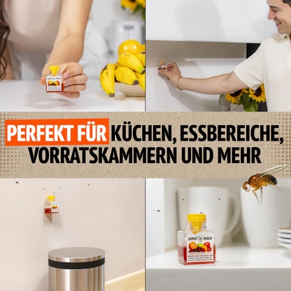 Super Ninja Fruchtfliegenfalle für den Innenbereich, 12er-Pack