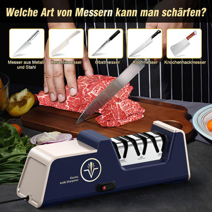 Sharp Professioneller Messerschärfer – Diamant Elektro