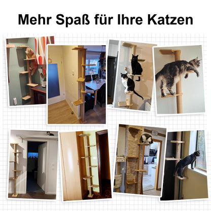 FUKUMARU Kratzbaum Deckenhoch Wandmontage – 206cm Gummibaumholz