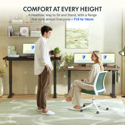 FlexiSpot Höhenverstellbares Schreibtisch Gestell - Schwarz