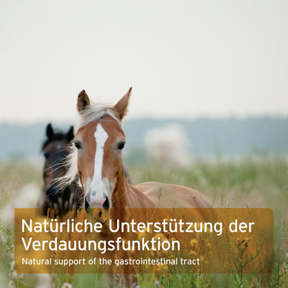 AniForte Flohsamen für Pferde 3 kg – Einzelfuttermittel, Rohkost