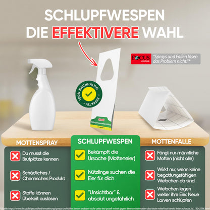 anwerk Schlupfwespen gegen Lebensmittelmotten, 20 Karten, 1 Lieferung