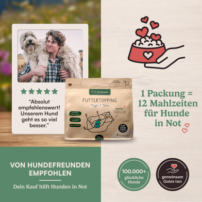 Hunderunde Gras & Kotfressen Pulver Futtertopping Magen & Darm 250 g