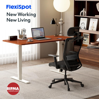 FLEXISPOT OC17 Ergonomischer Bürostuhl Schreibtischstuhl Schwarz