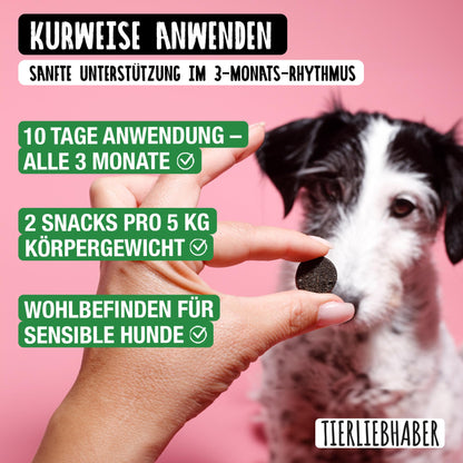 TIERLIEBHABER G-Snack Hundeleckerli für Darmflora & Verdauung, 350 g
