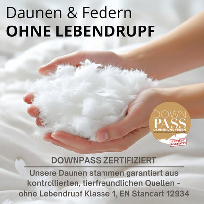 Brönning 3 Kammer Daunenkissen Kopfkissen – 40x80 90% Daune