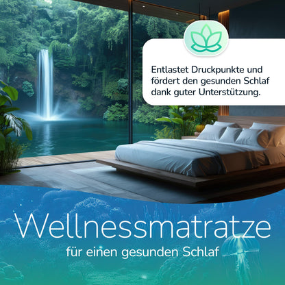 MSS Aqua Deluxe 7 Zonen Wellness Kaltschaummatratze - 140x200 cm H4/H5
