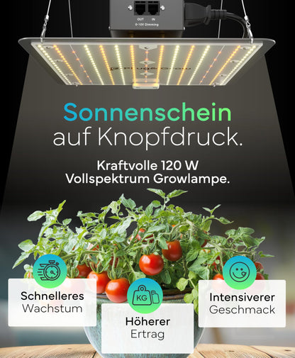 Plug & Grow LED Pflanzenlampe Vollspektrum mit Timer - 120W