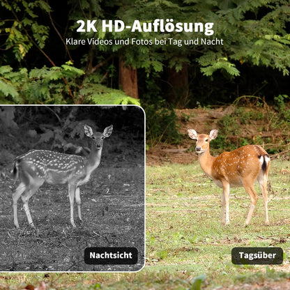 NUASI Wildkamera RBX-S60, 4G LTE, Solar, 2K Farbnachtsicht, IP66